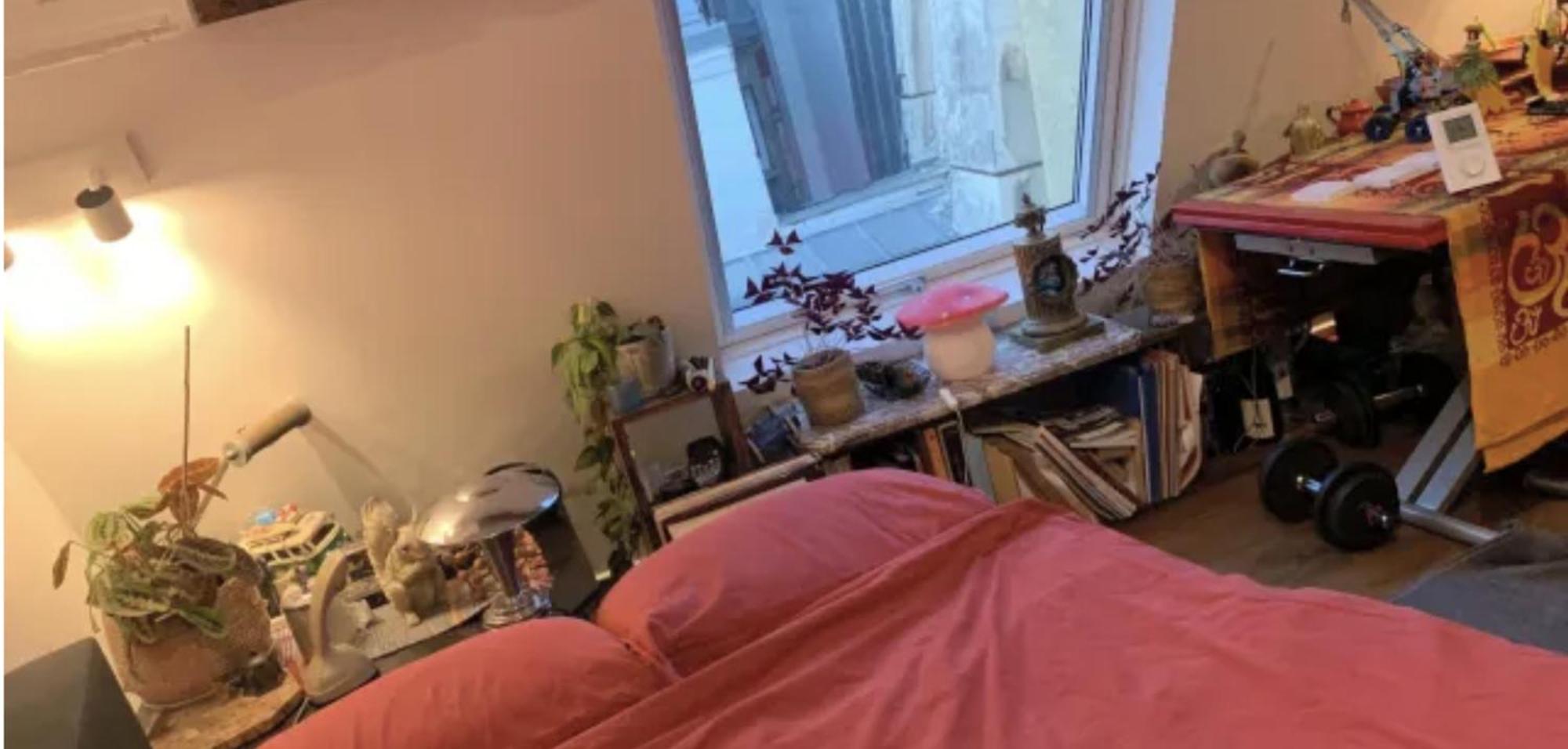 Séjour chez l'habitant Sous Les Toits De Shared Place Paris