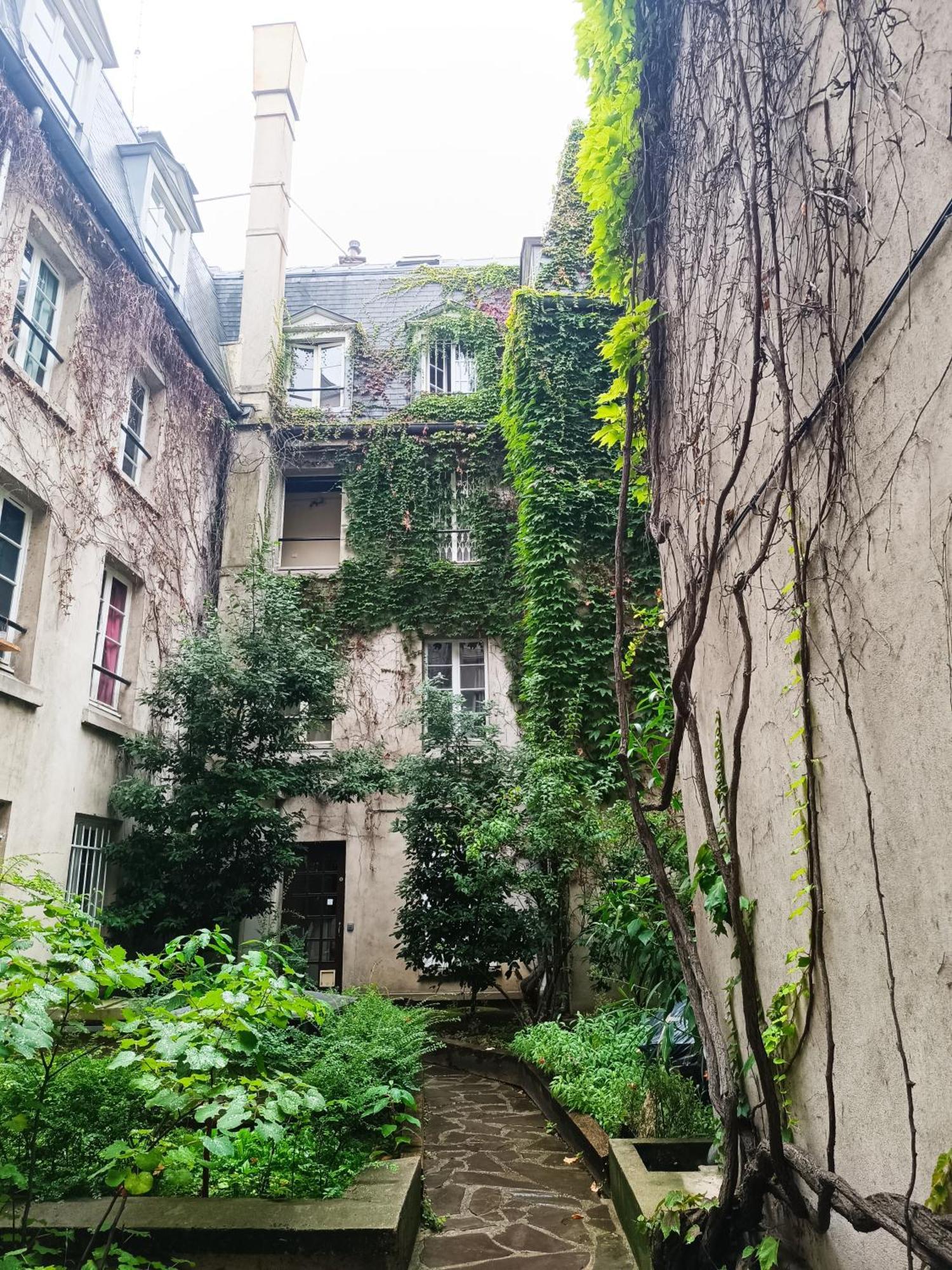 Saint-germain, Rue Des Paris