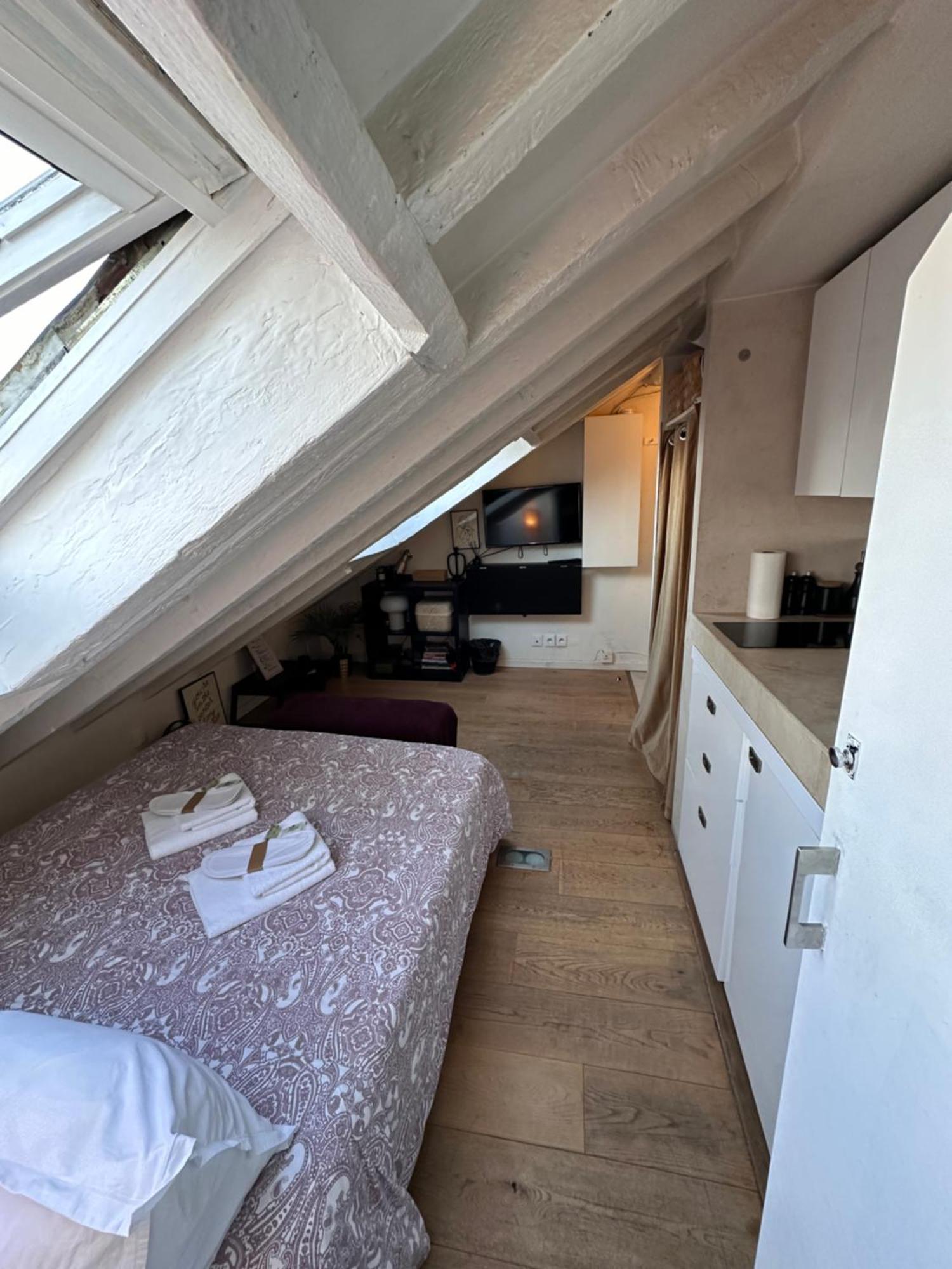 Marais Rooftop Studio - Metro Filles Du Calvaire Appartement