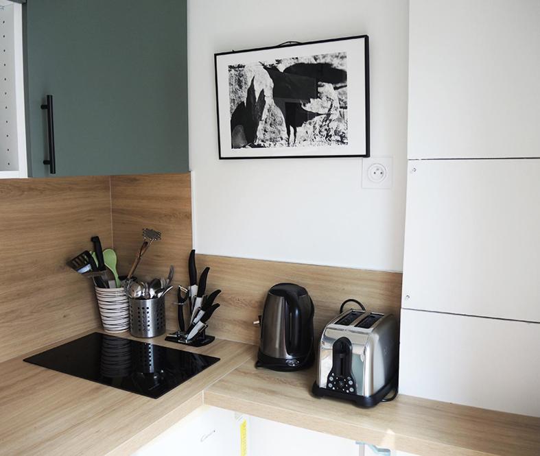 Apartment 2 Pieces Avec Balcon Plein Sud