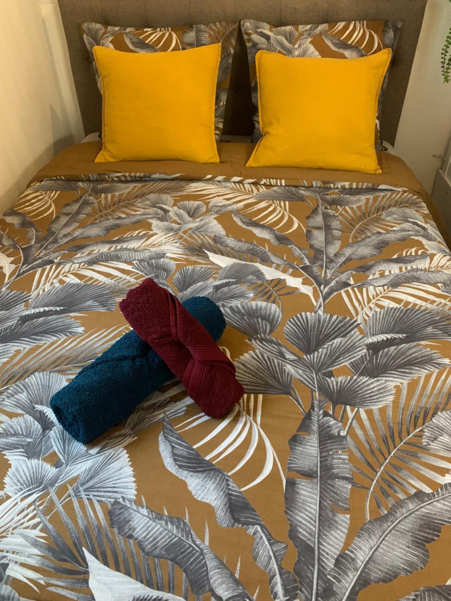 Jolie Cosy Appartement Paris