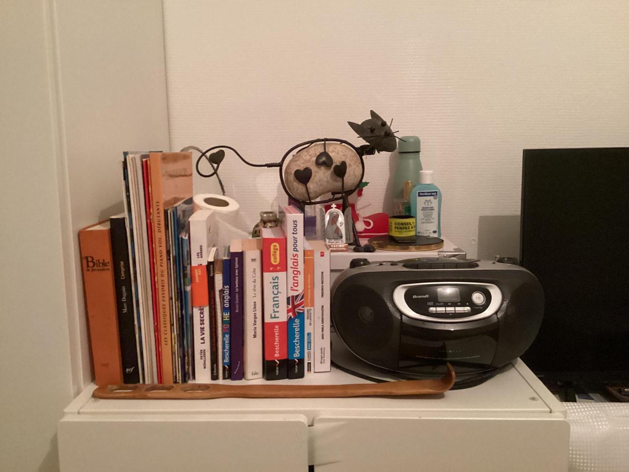 Séjour chez l'habitant Chez Le Habitant 282 Rue Lecourbe 75015