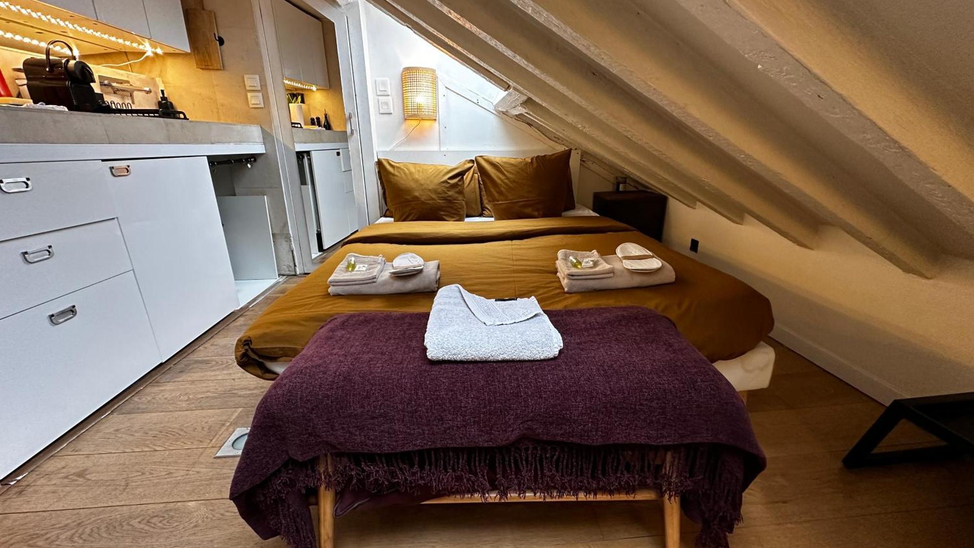 Marais Rooftop Studio - Metro Filles Du Calvaire Appartement Paris