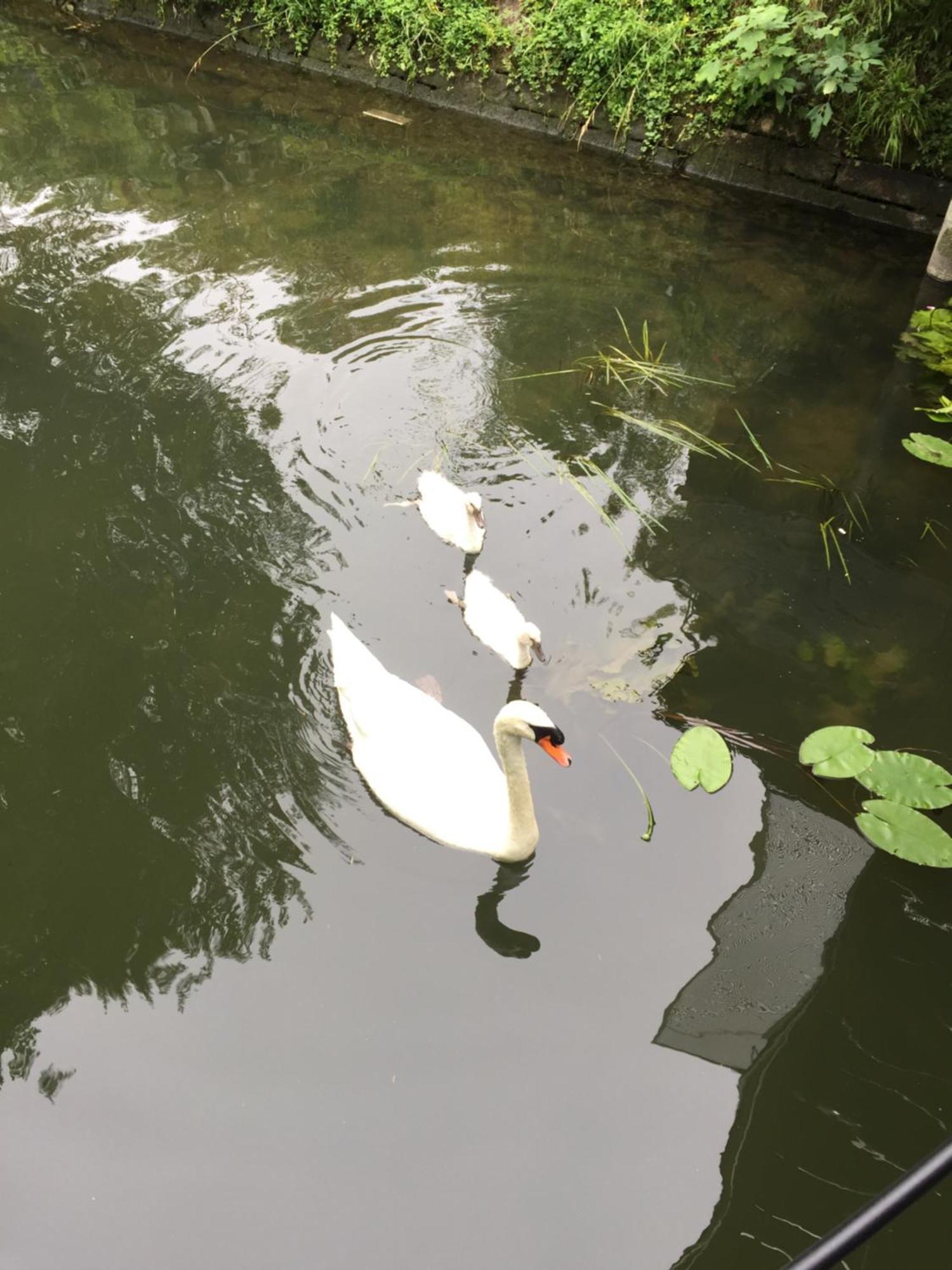 Appartement Sur L'eau Avec Parking Paris