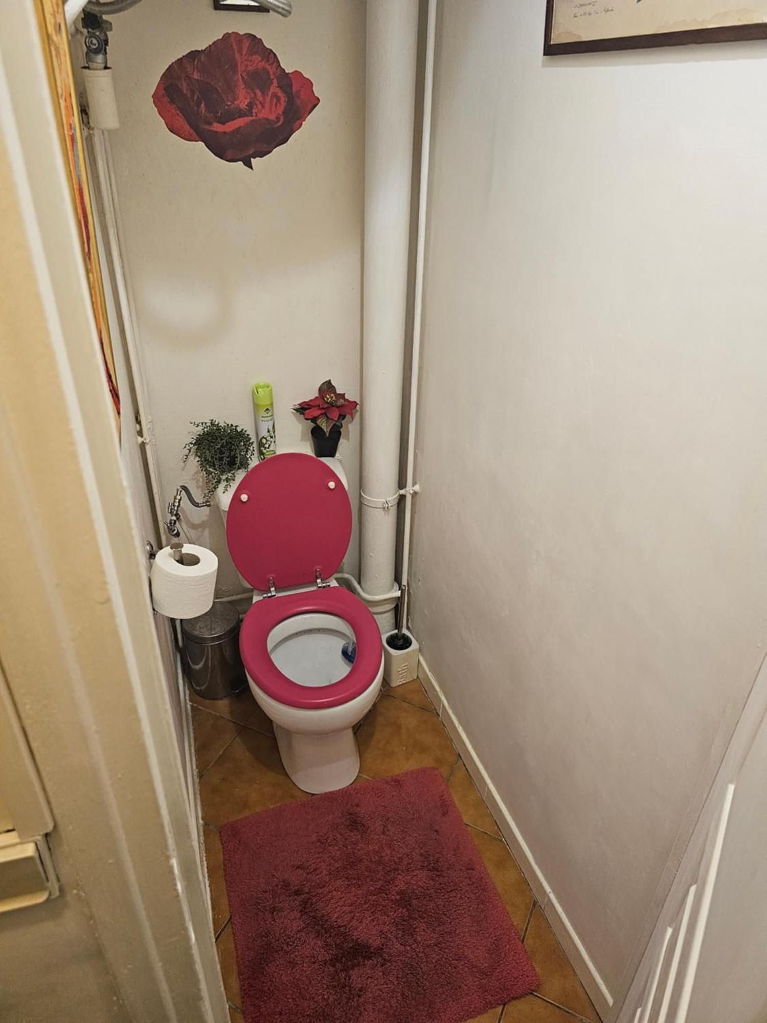 50 M2
