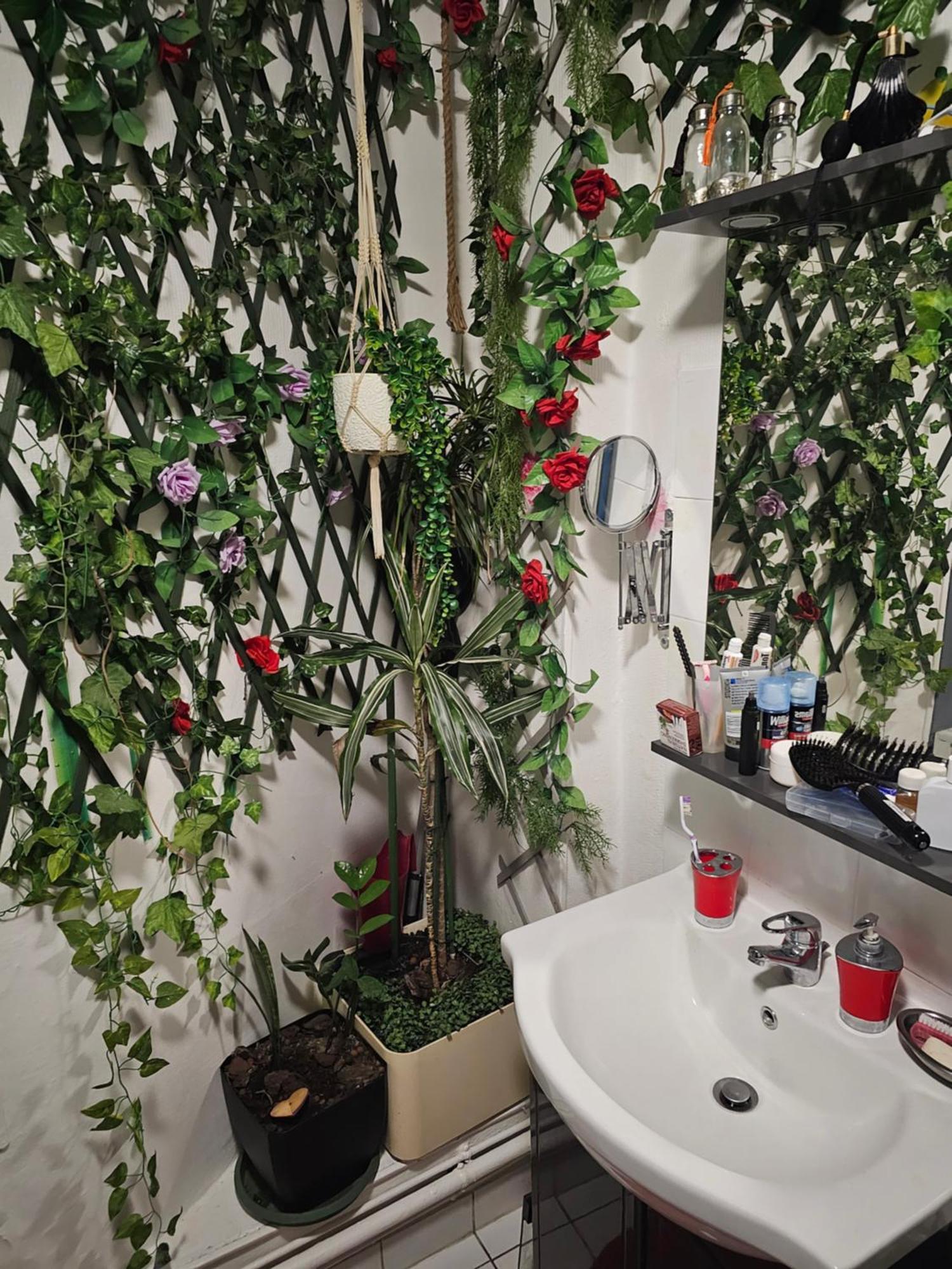 Apartment 50 M2 *