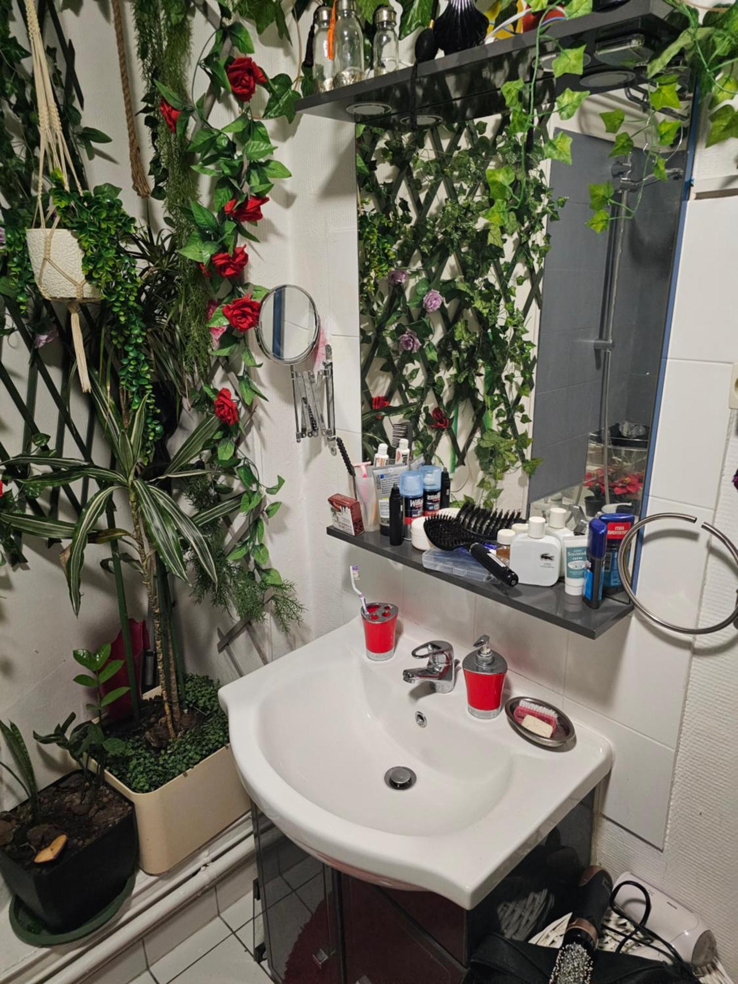 50 M2