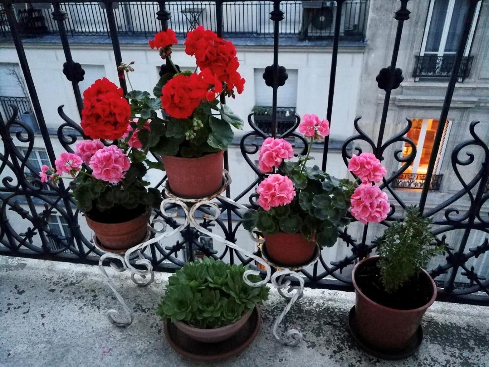 Apartment Sainte Elisabeth