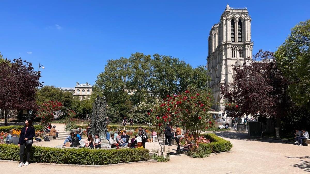 Apartment A Gem At Notre Dame