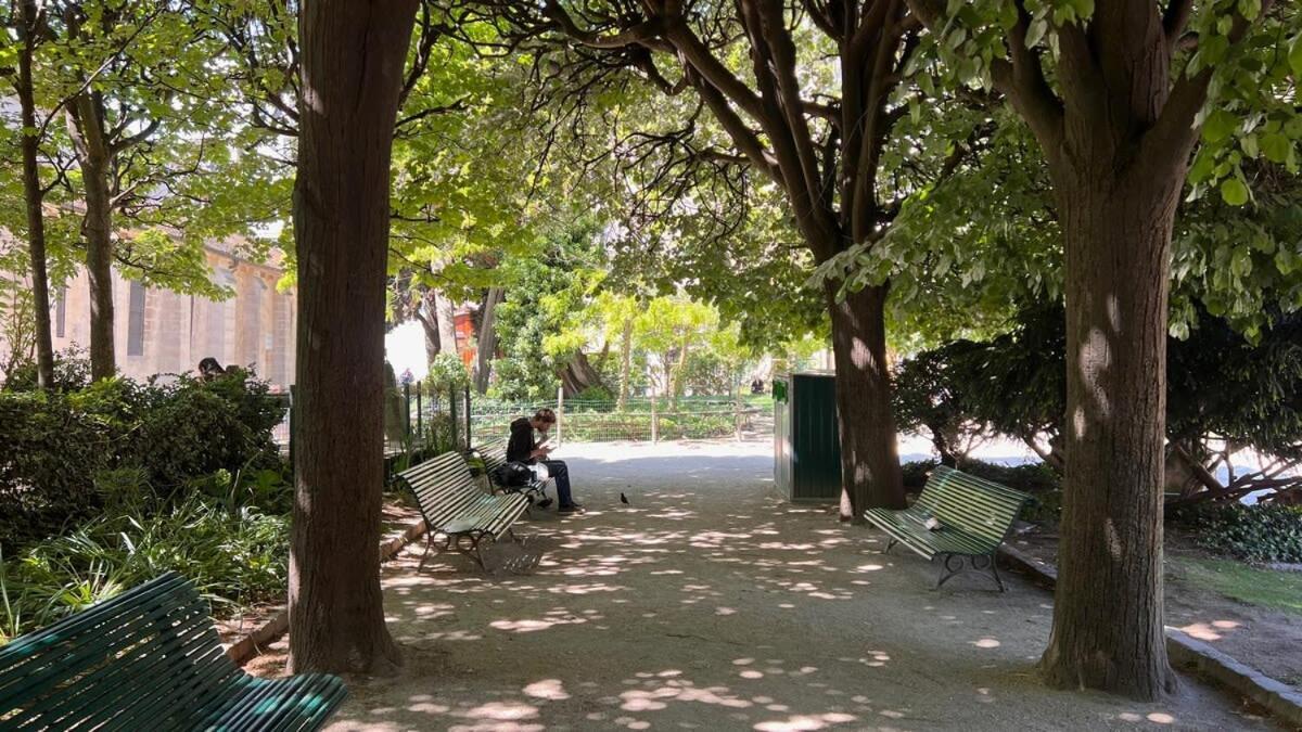 A Gem At Notre Dame * Paris