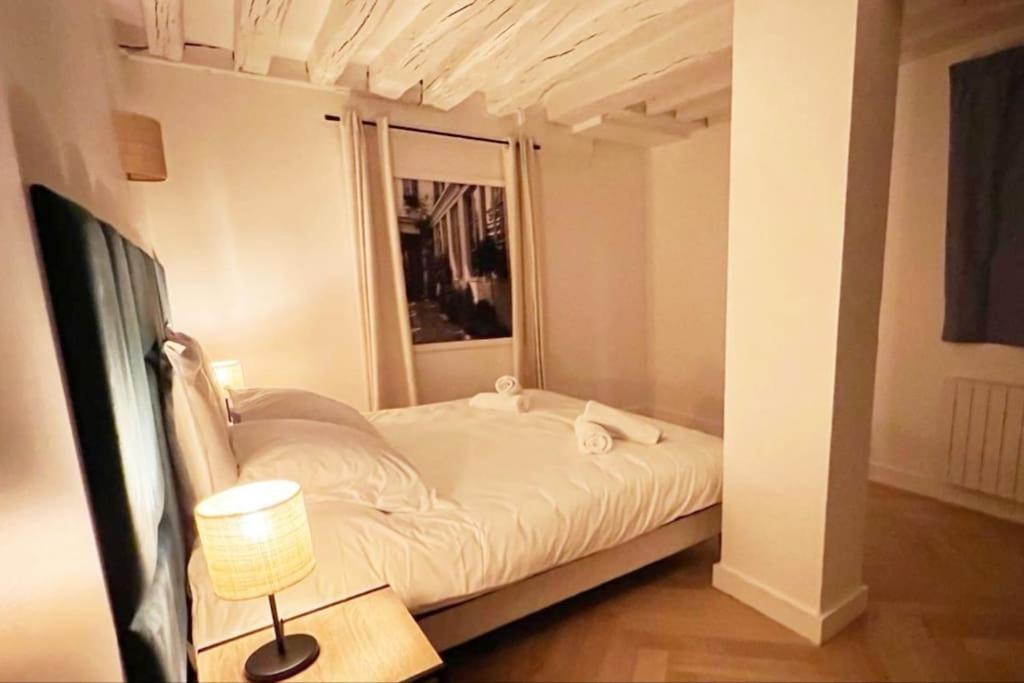 Magnificient Parisian Flat - Parisian Heart