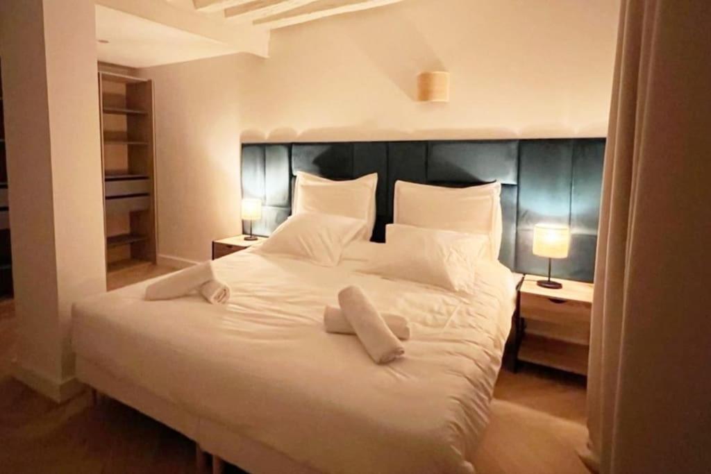 Apartment Magnificient Parisian Flat - Parisian Heart