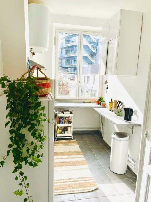 Apartment Beautiful Bright Flat Jardin Des Plantes