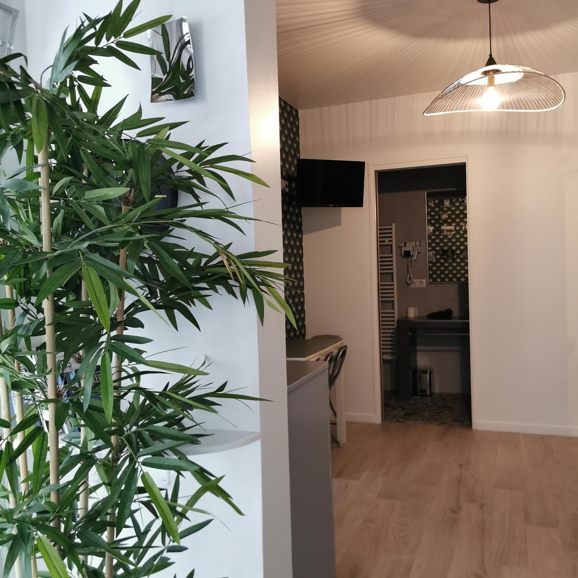 Appartement In Orsay - Grenelle Romantic Flat