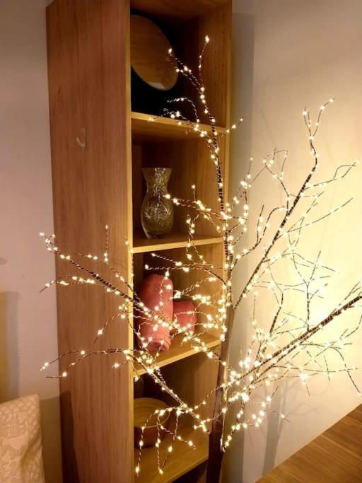 Small Luxurious In The Heart Of Saint Germain Paris