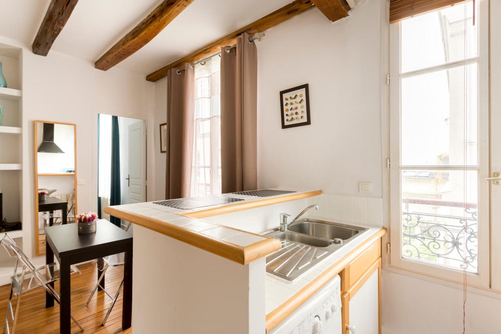 Appartement Marais Place Des Vosges Sevigne *