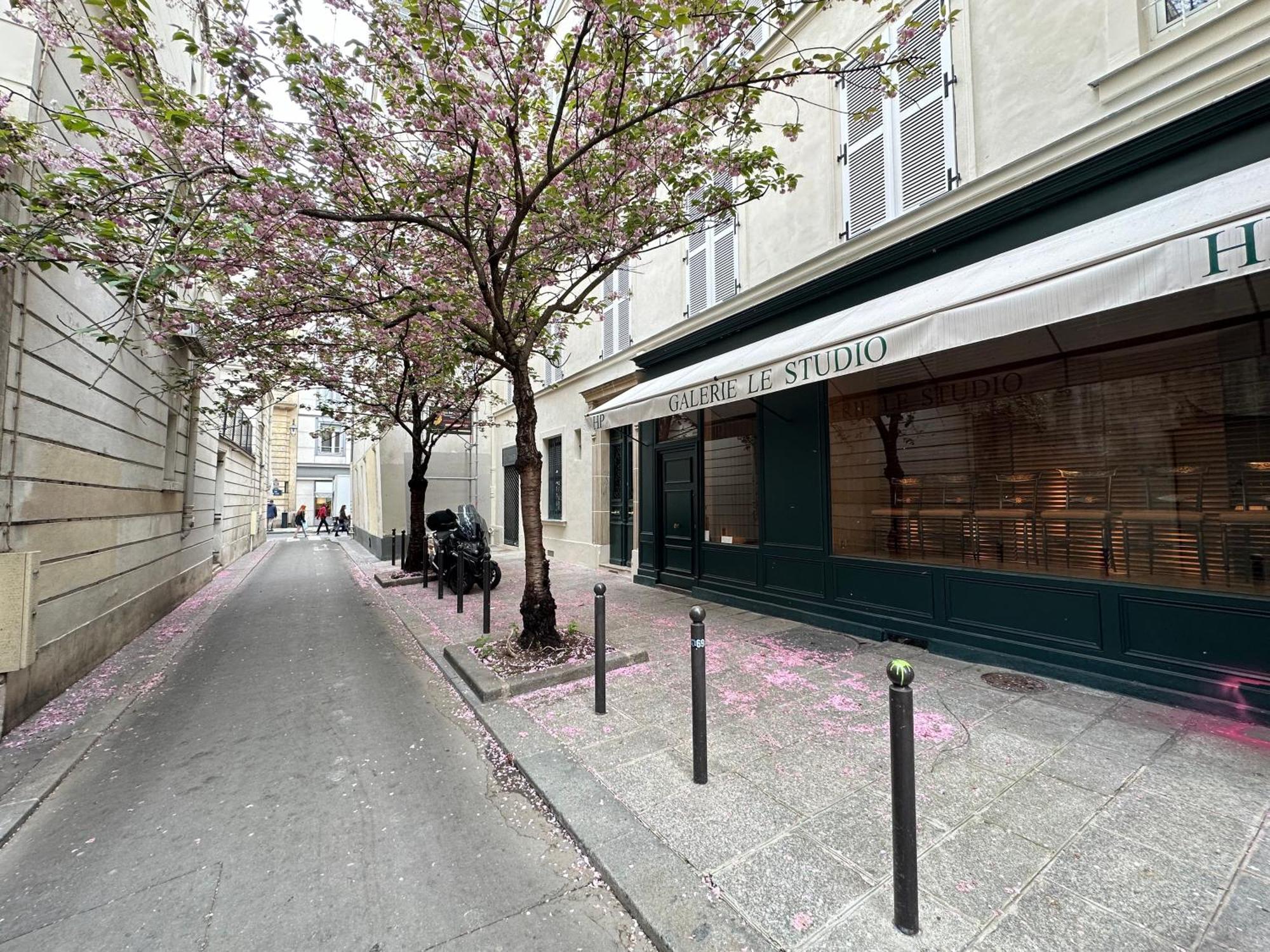 Apartment Spacious Studio In Saint-germain-des-pres *