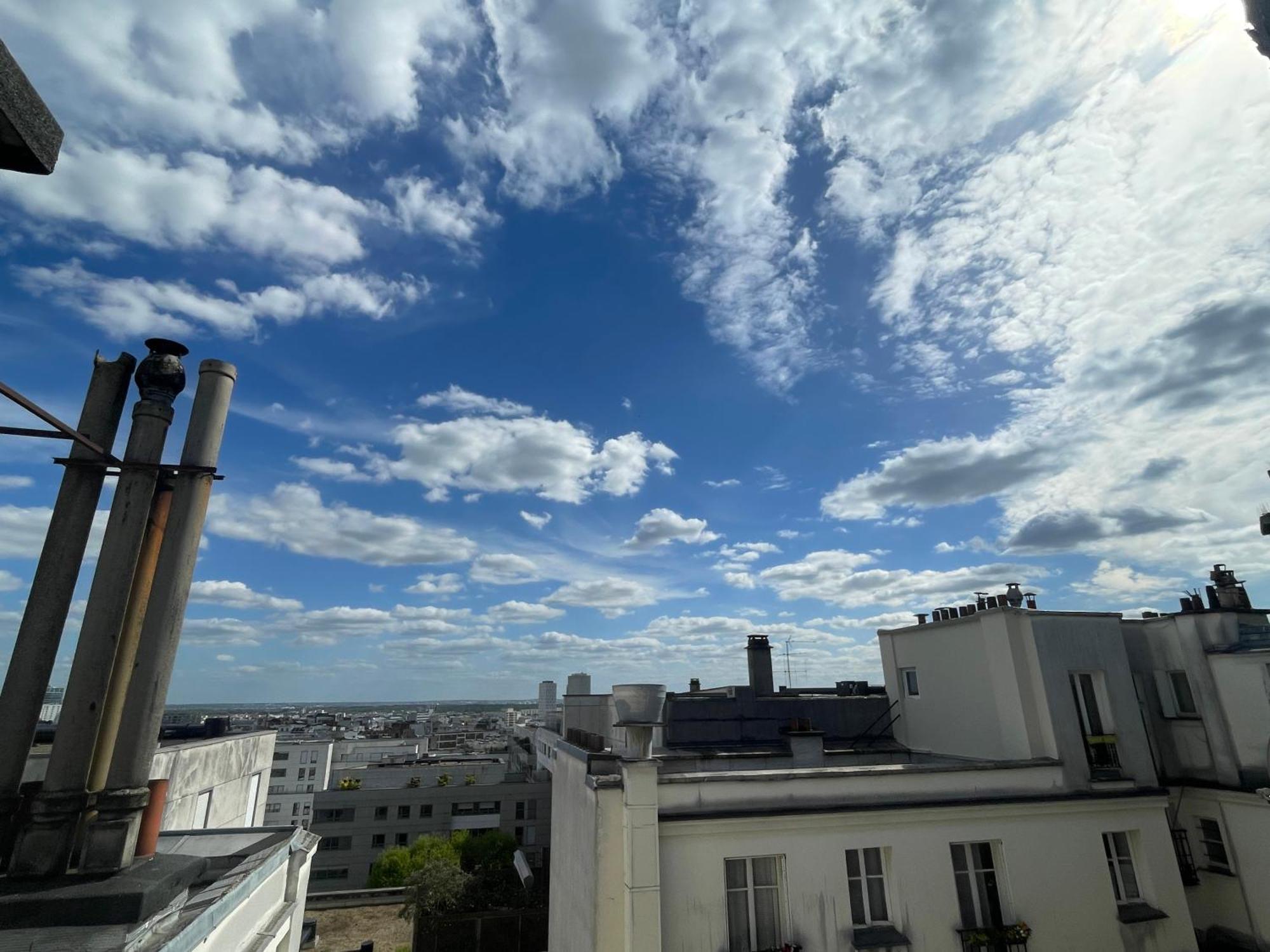 Superbe Haussmannien Suspendu Appartement Paris