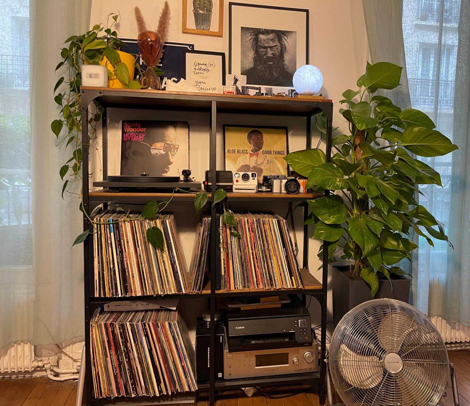 Apartment Haussmannian Flat