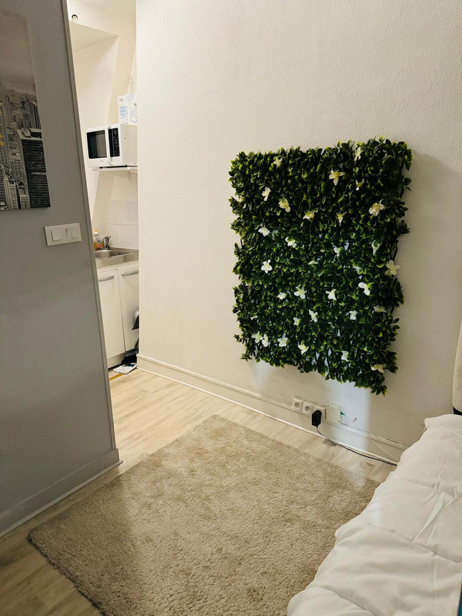 Apartment Studette Champs Elysees