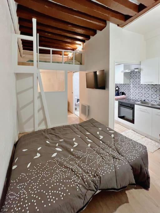 Au Centre De Apartment Paris