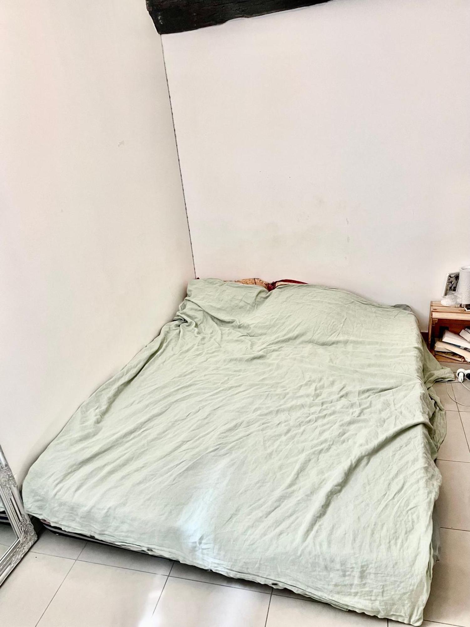 Apartment Nid Douillet Parisien