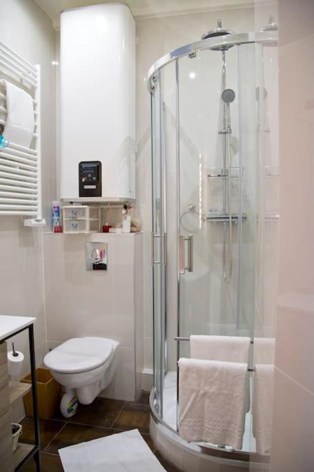 Charming Aparmtent In Center Apartment