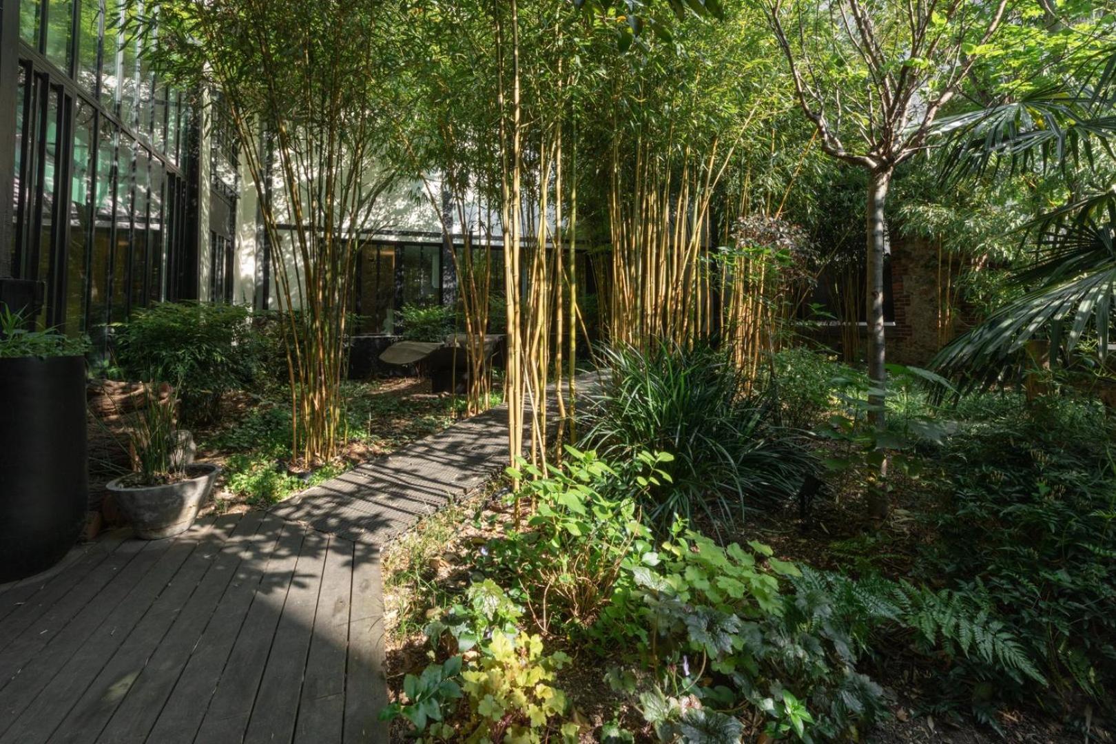 Maison Ensoleillee Avec Jardin Dans Le 16 Arron. Villa