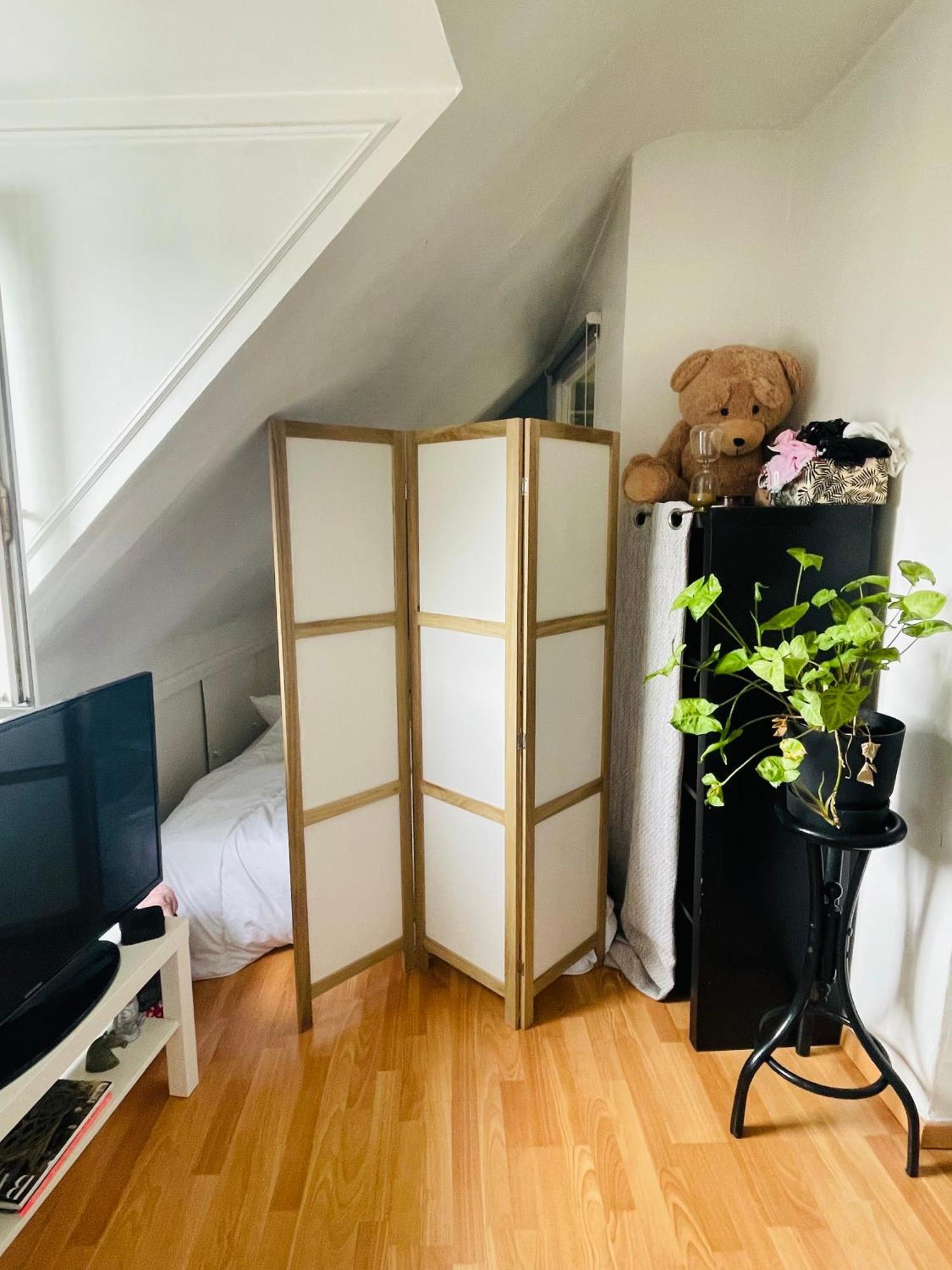 Apartment Studio Parisien