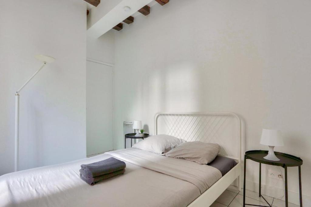 Luxe En Plein Coeur De Notre Dame Pantheon Apartment *