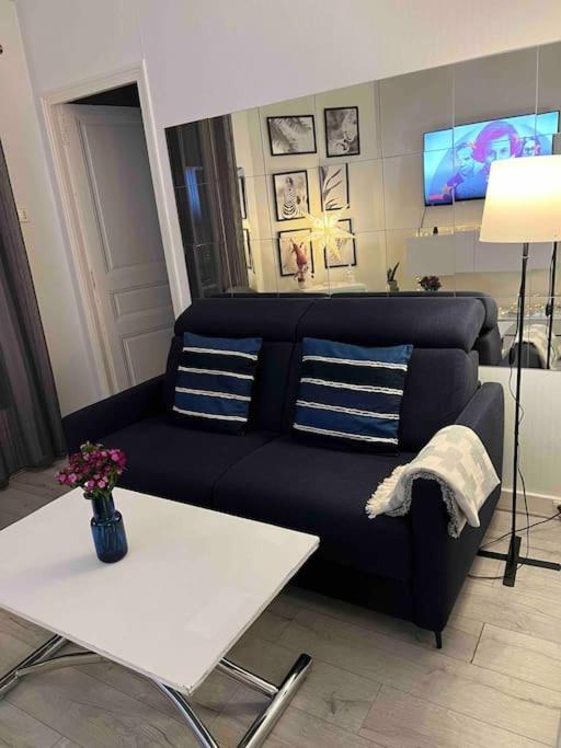 T2 Cosy Et Lumineux Au Coeur De Paris12 Appartement Paris