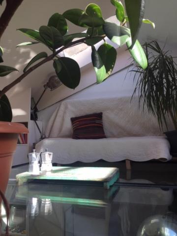 Appartement Location 11 *