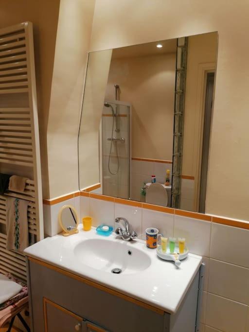 Appartement 2 Pieces Apercu Vue Sacre Coeur-rue Des Martyrs Paris
