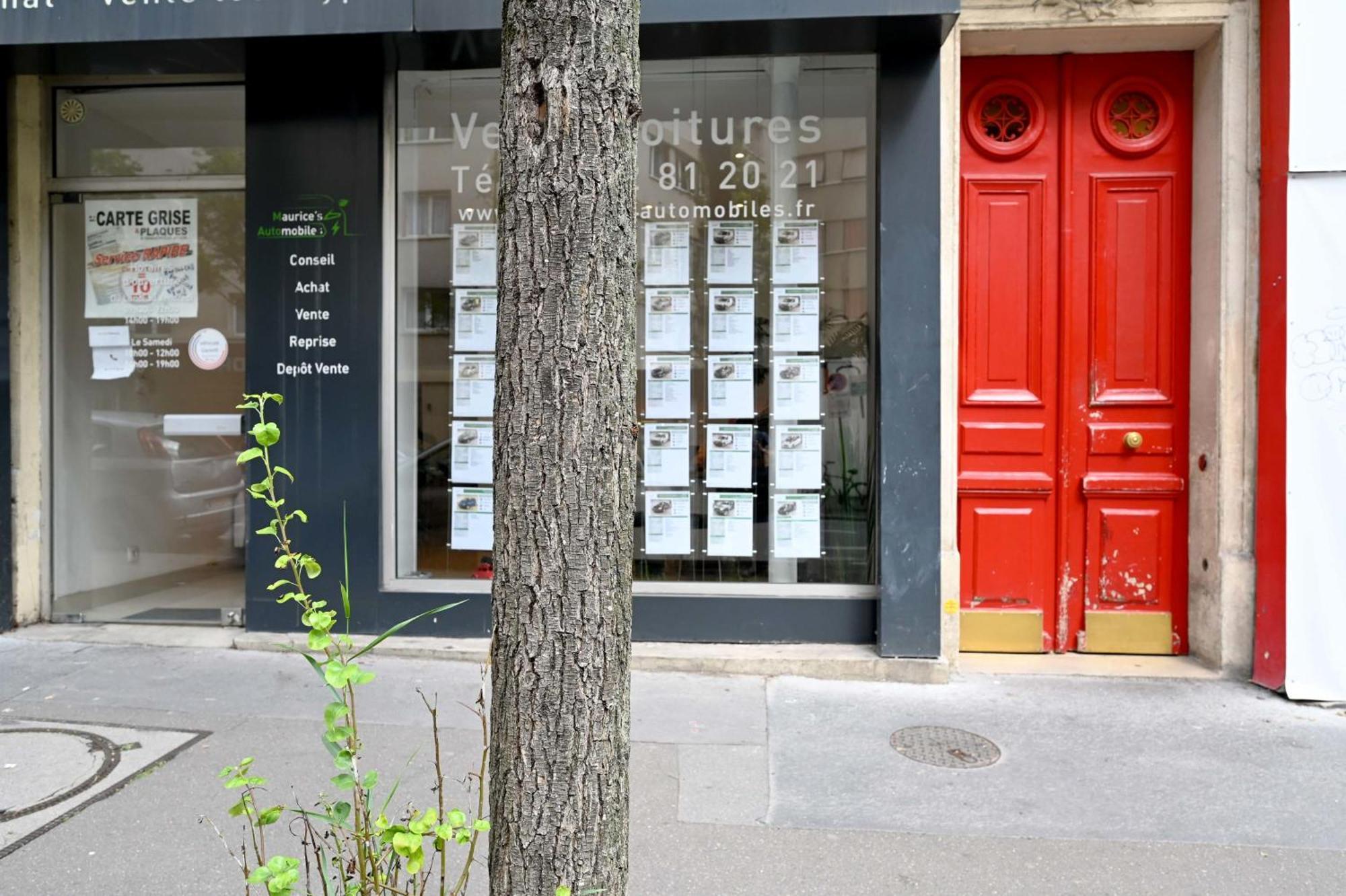 Charmant And Cosy D'architecte * Paris