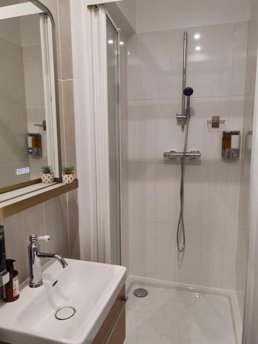 Champs Elysees Apartment *