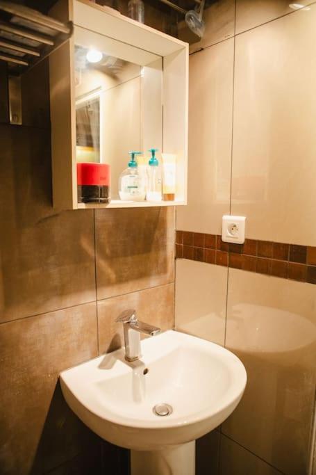 Quartier Belleville 20m2 Avec Mezzanine Apartment