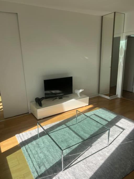 Appartement Tour Eiffel Terrasse Vue Seine Paris