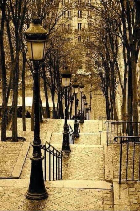 Montmartre En Rez-de-jardin Apartment Paris
