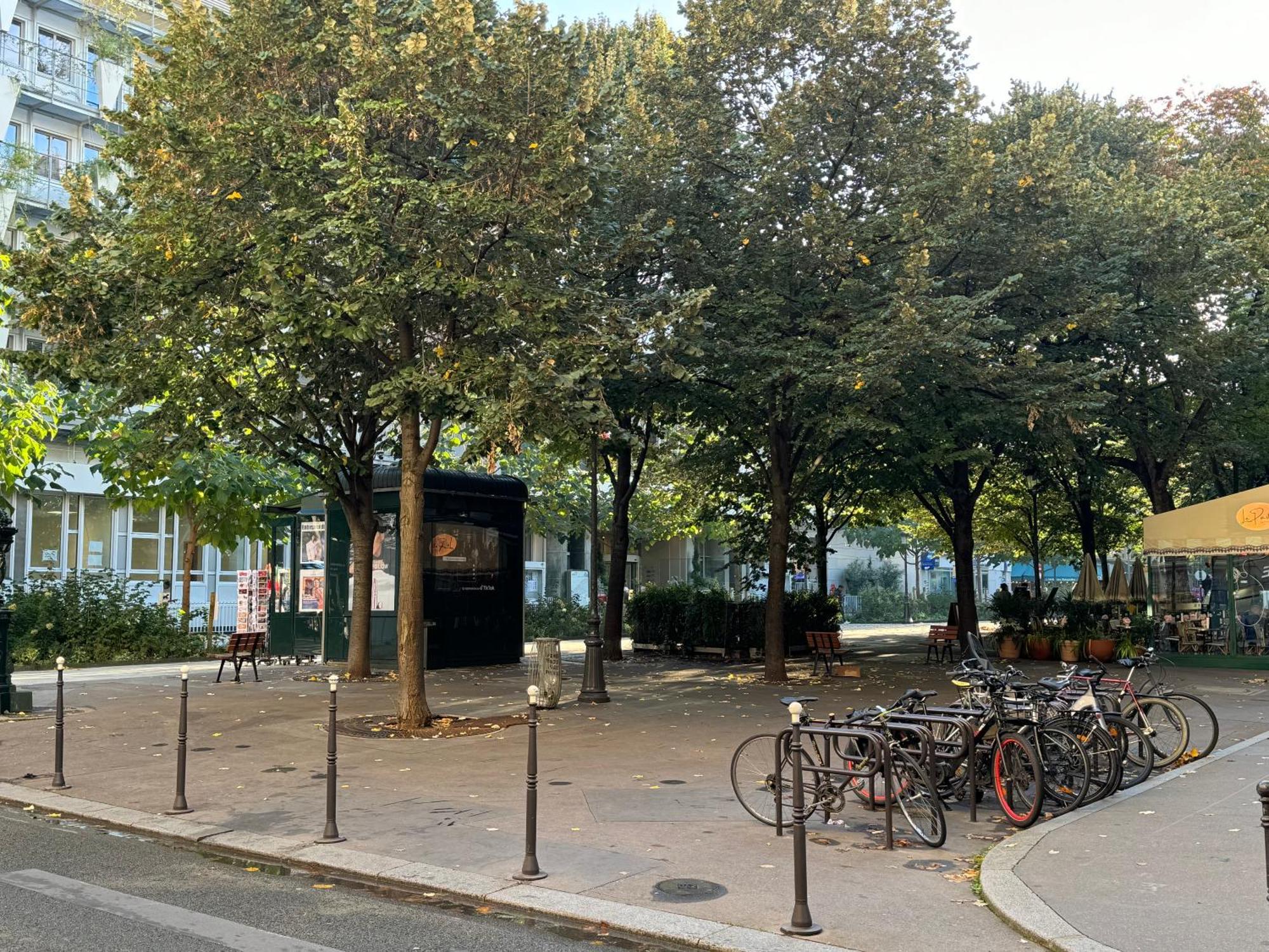 Les Toits De Apartment Paris