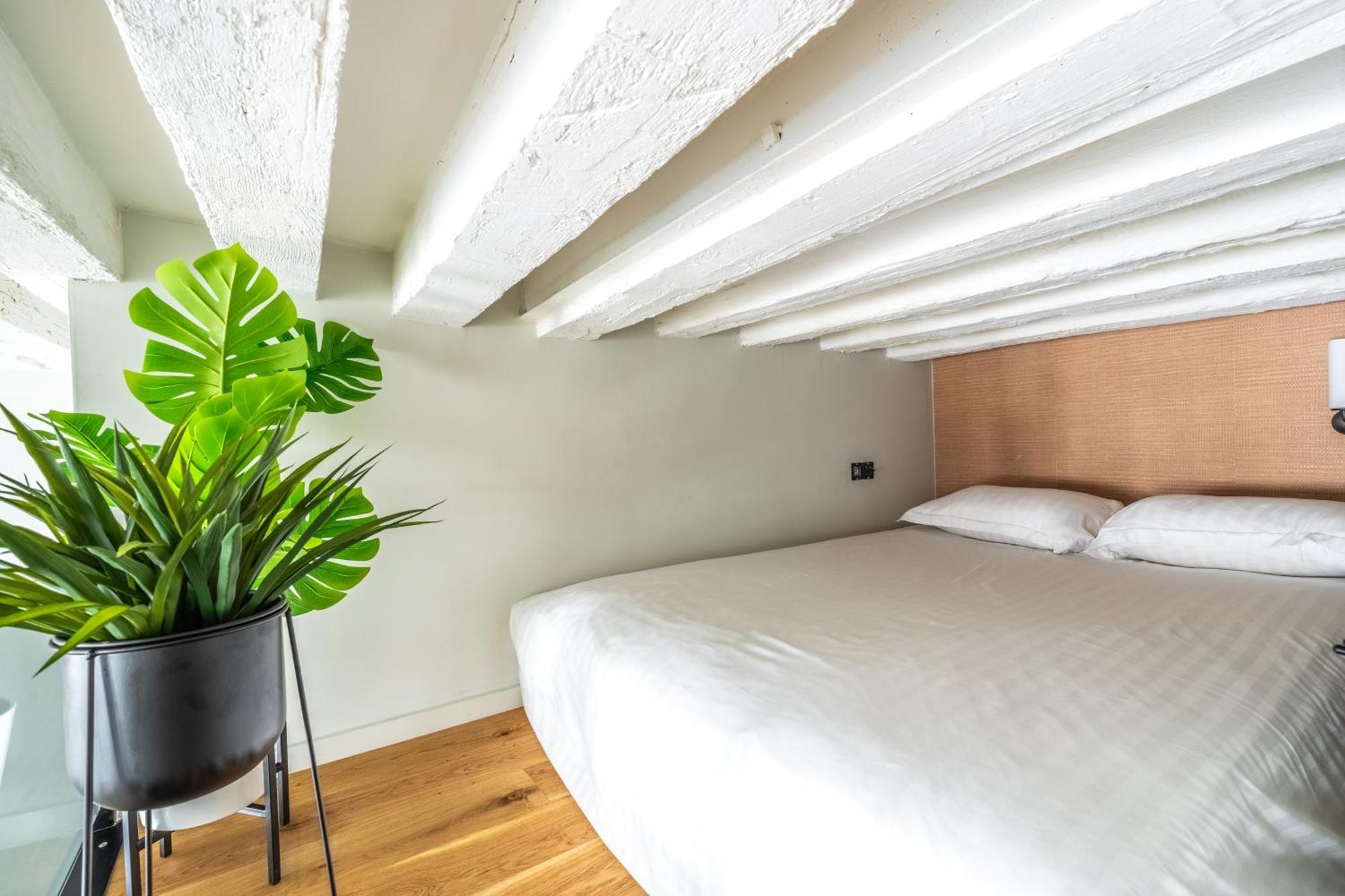 Luxury Apartement, Center Of Apartment *
