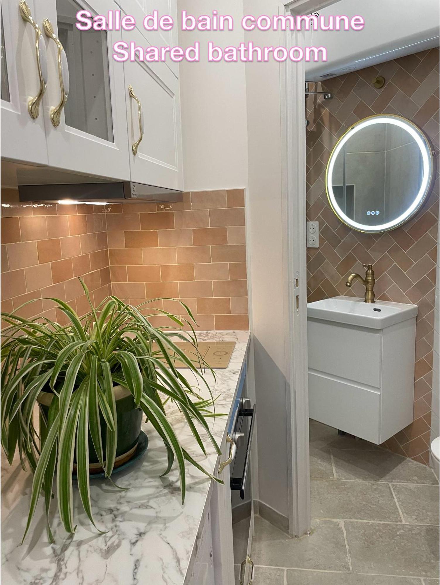 Privatunterkunft Privee, Sdb Partage, Arc De Triomphe, Metro 1, T3b, Rer C E A Paris