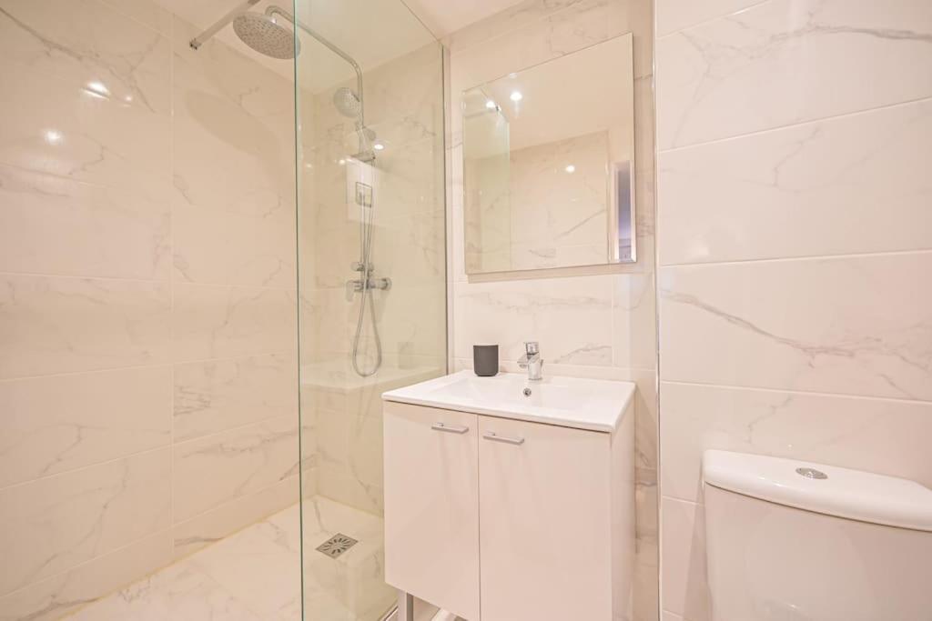 Appartement Centre - Republique