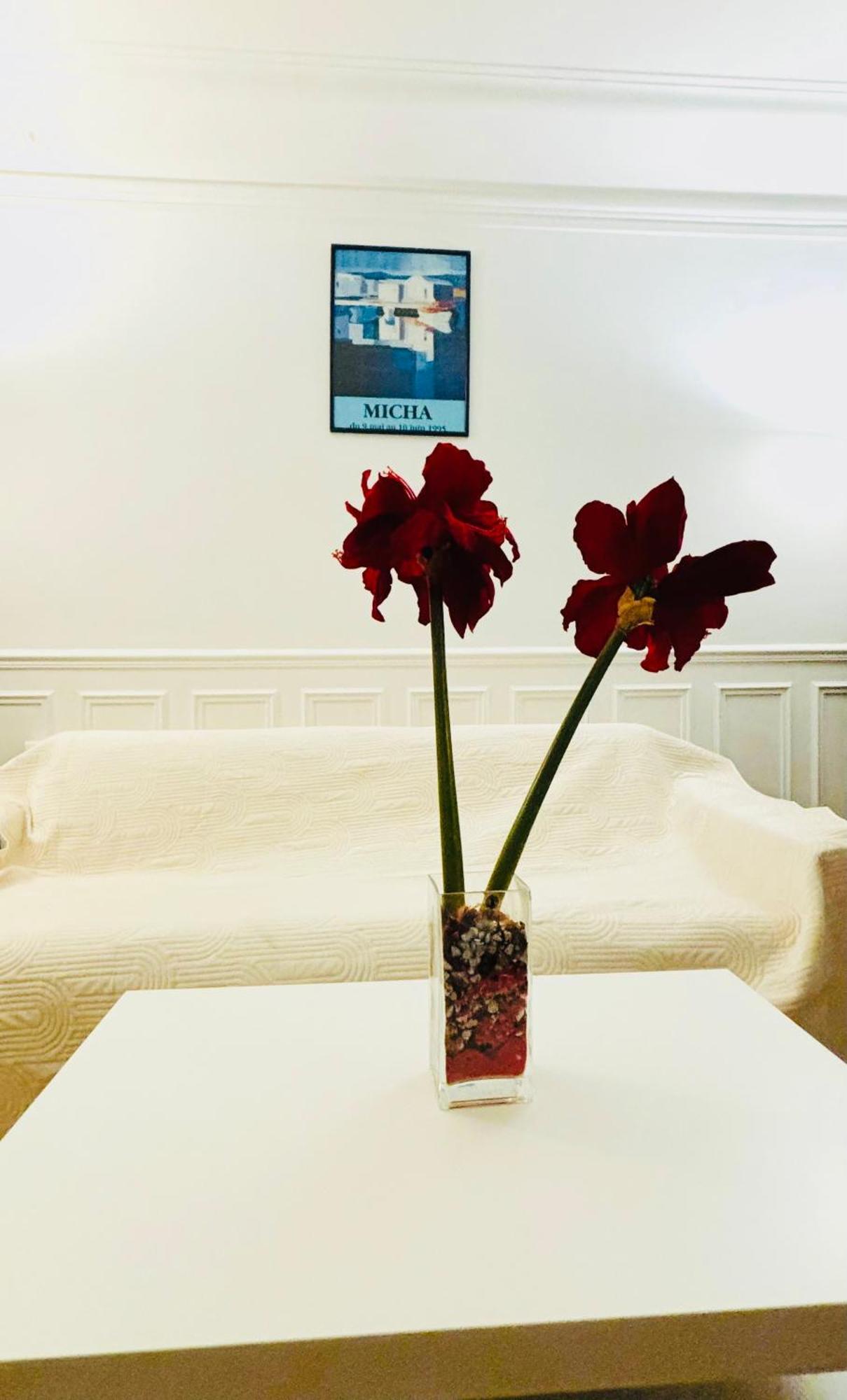 Tour Eiffel Lecourbe Appartement *