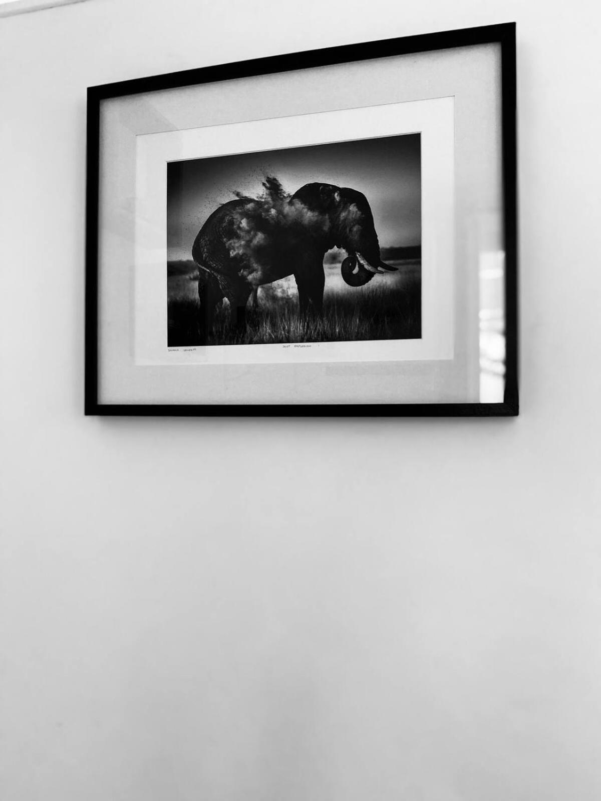 Magnifique Batignolles Appartement Paris