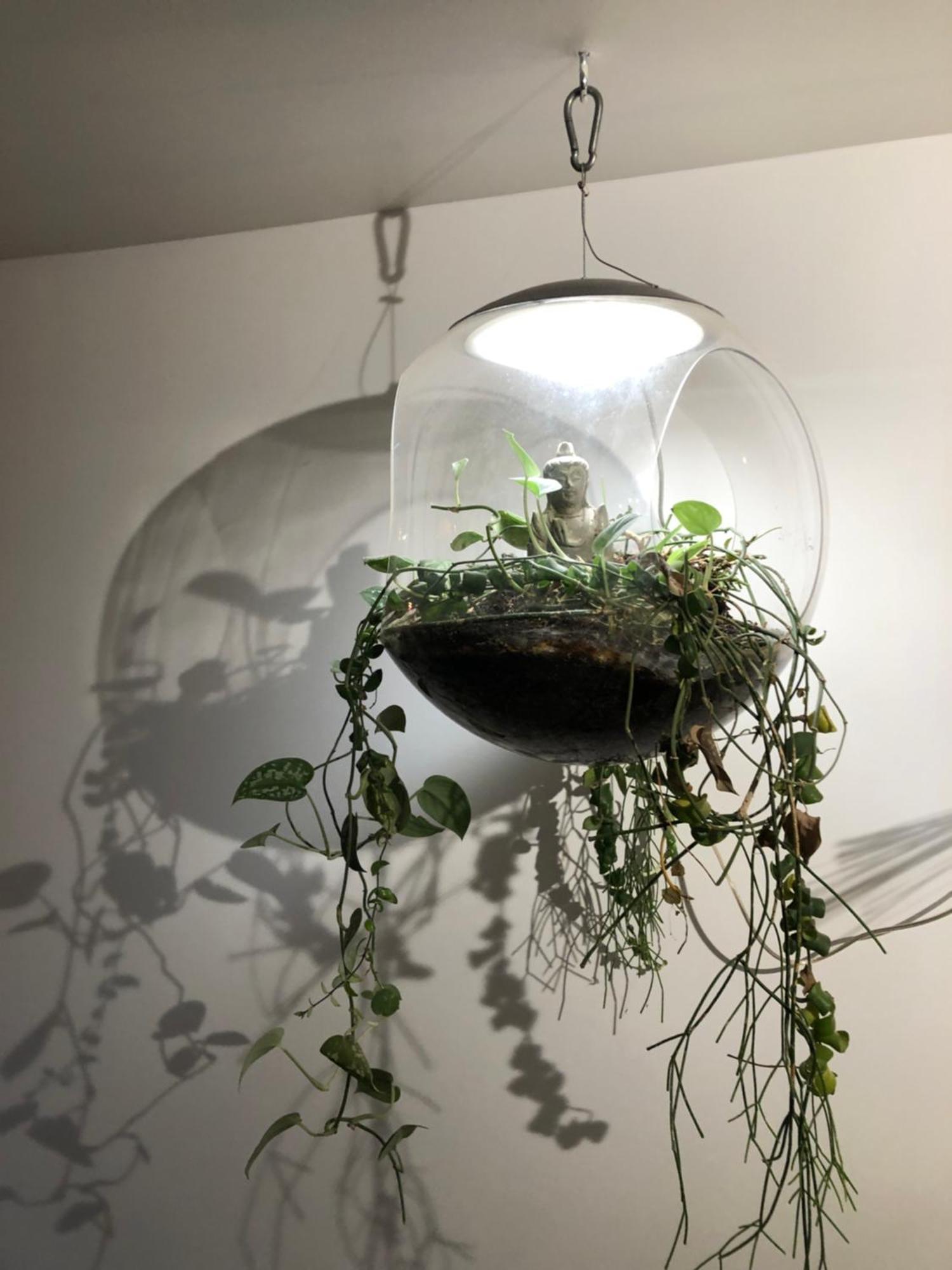 Charming House, Calm Garden In The Center Of Apartment *