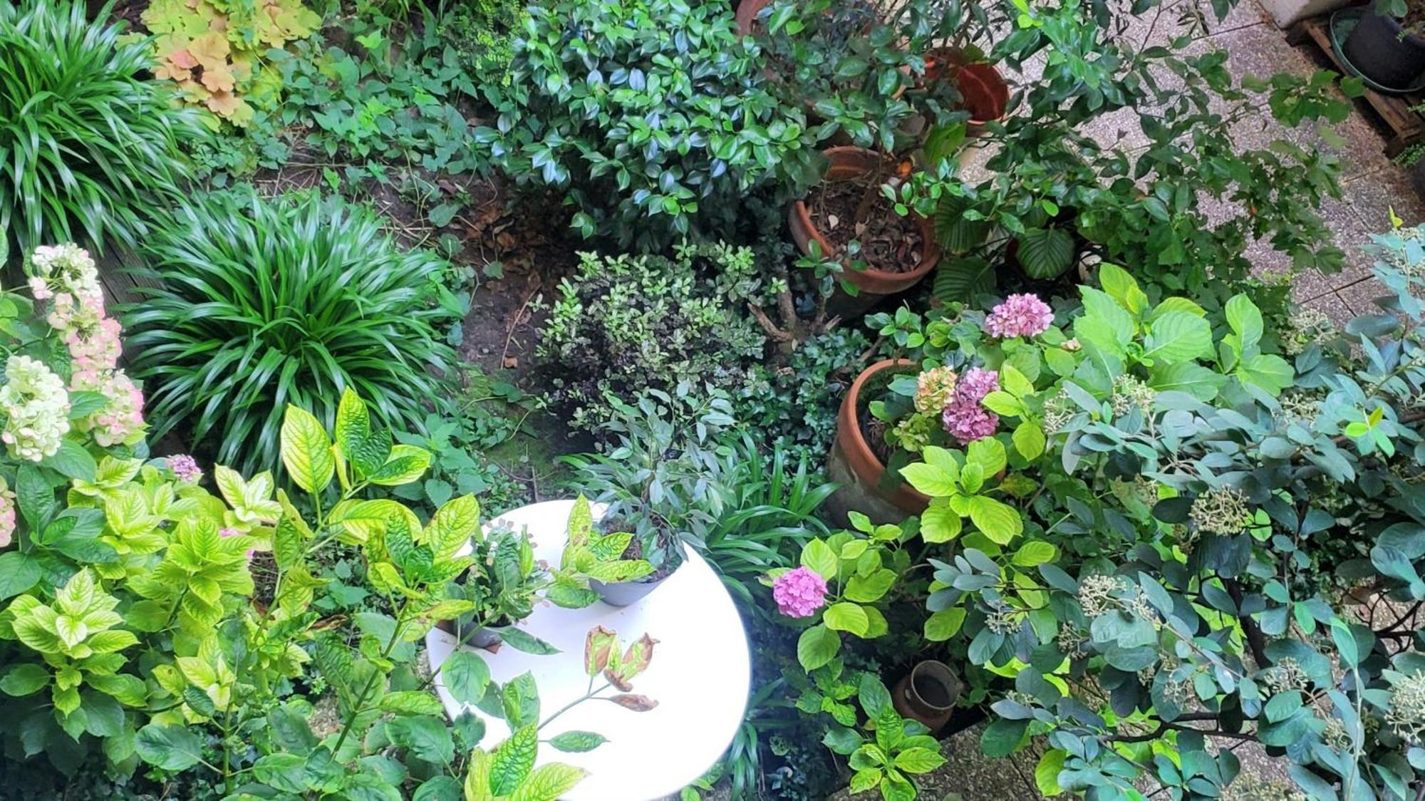 A 20eme Avec Un Petit Jardin Frühstückspension