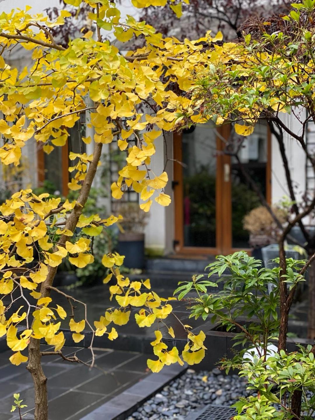 Camparis - - D'hotes Bed & Breakfast