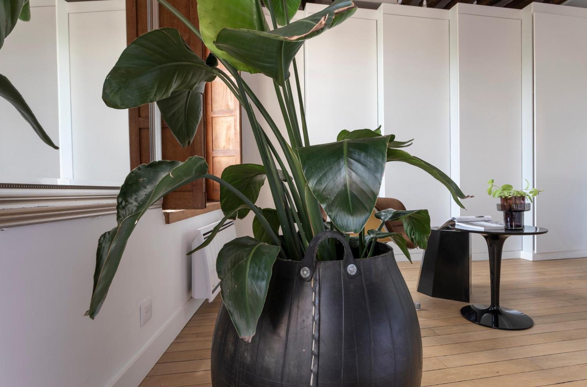 Apartment Notre-dame Stunning 2 Bedroom Air Conditioned Flat