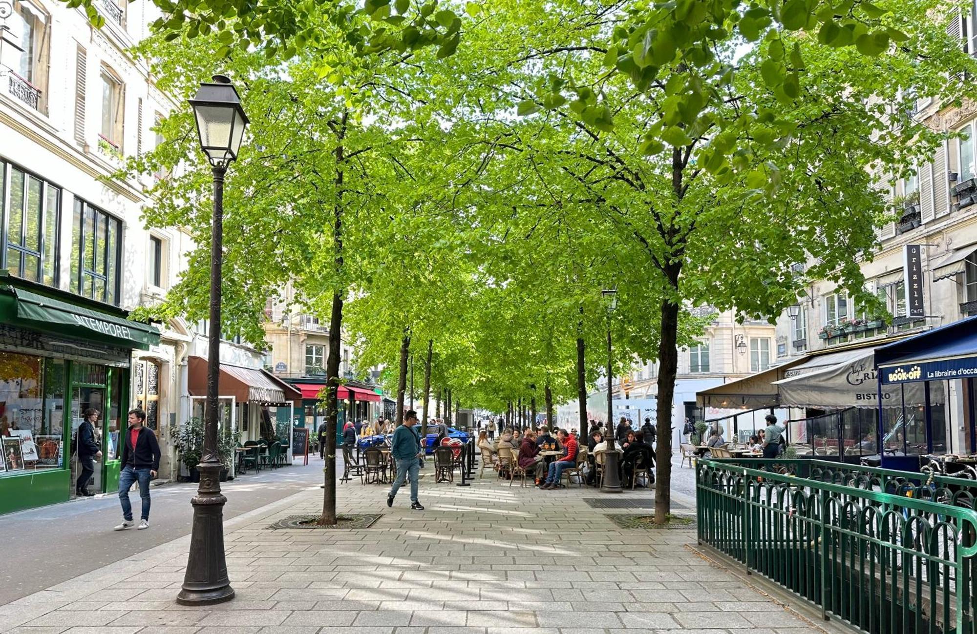 Charming Near The Louvre Museum Apartment