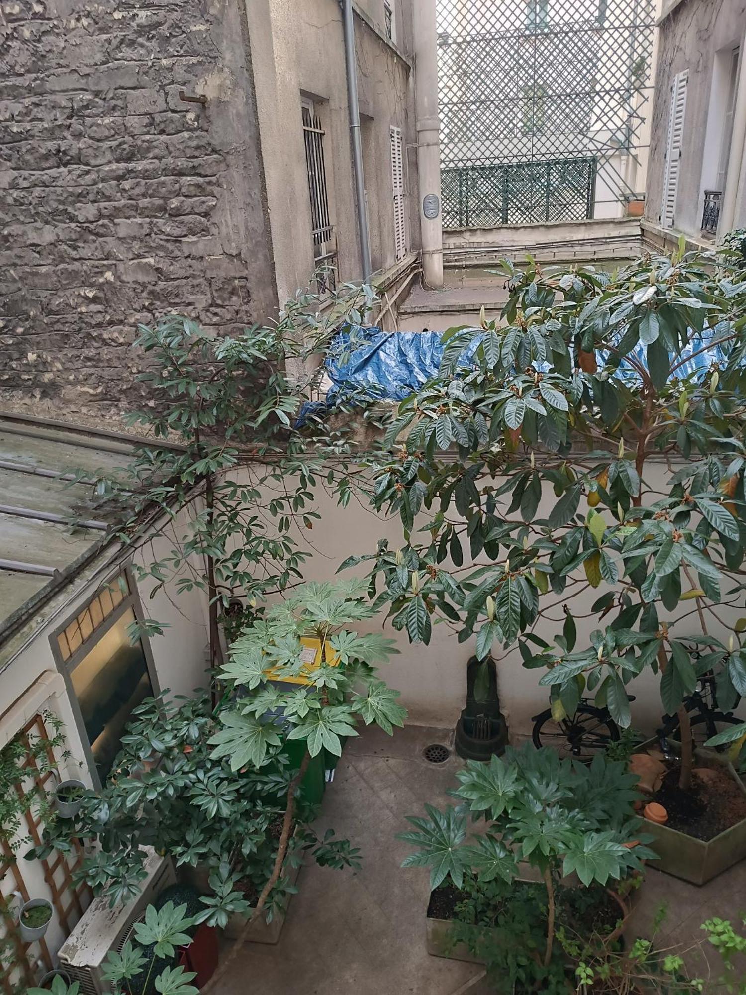 Cosy 6eme Bon Marche Appartement *